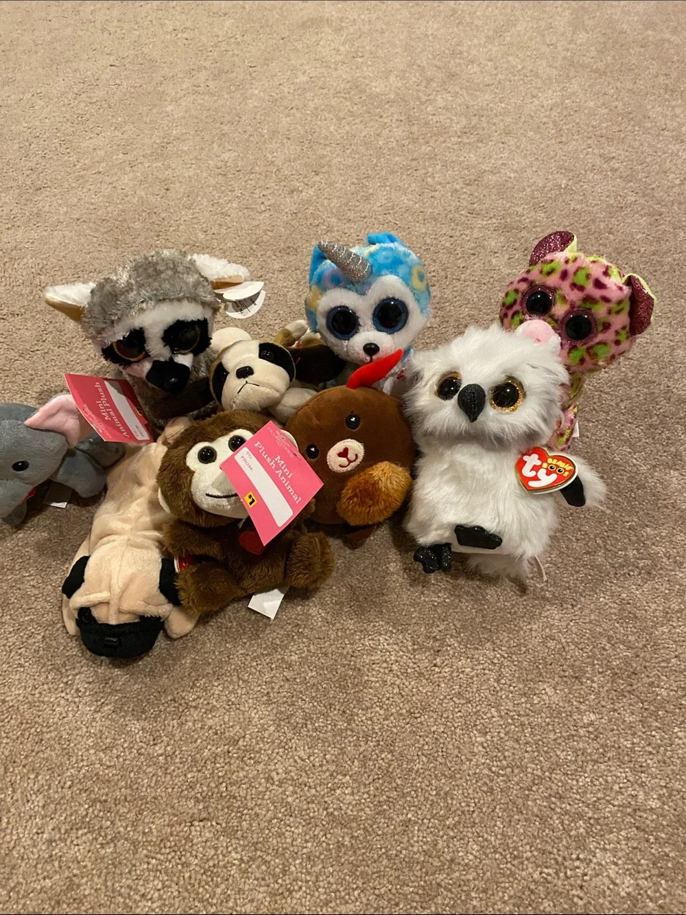 TY and other Plush Small Pets Assorted Multicolor Beanie Buddies medium sized